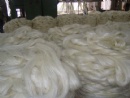 Sisal Fibre